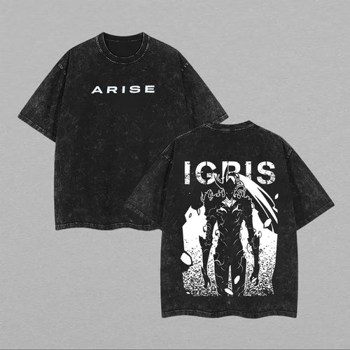 Solo Leveling Igris Printed Unisex Washed T-Shirt